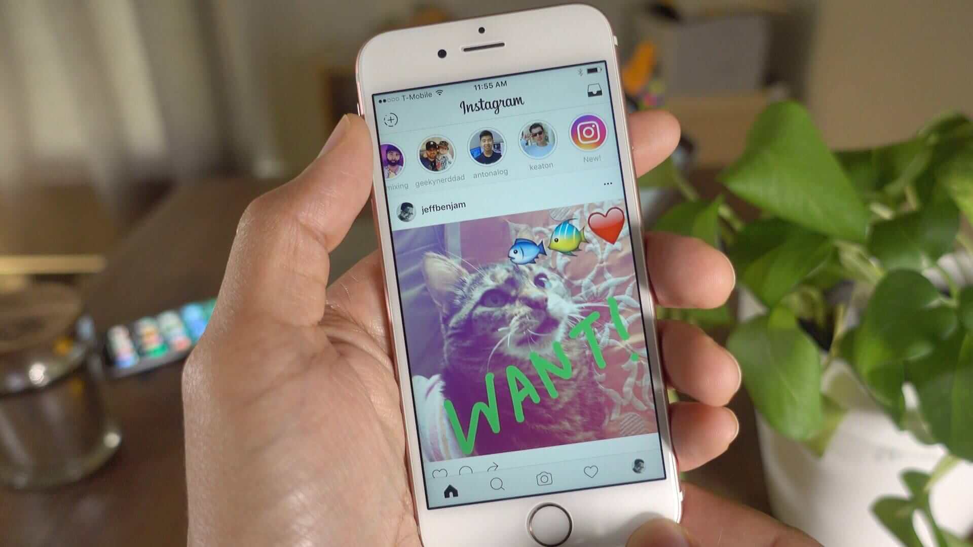 Instagram libera enquete interativa no Storie; conheça